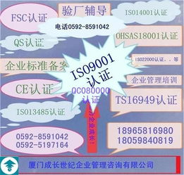 安徽ISO9001:2015精細(xì)化輔導(dǎo)咨詢 信息咨詢服務(wù)升級(jí)與體系優(yōu)化新路徑